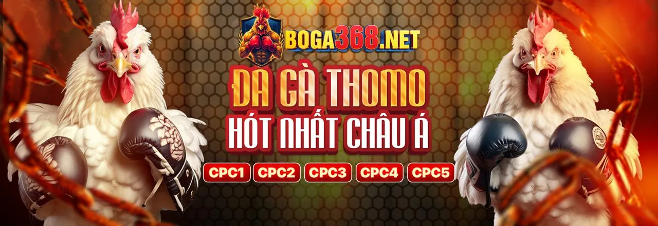 Hệ thống cấp độ VIP của Sonbet chính thức